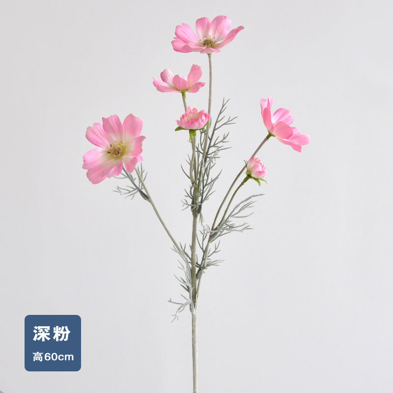 Daisy, garden cosmos, 6 heads, regular texture, 736204