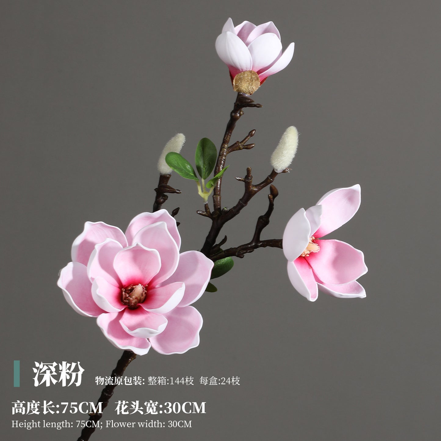 Magnolia, Chinese lily, special texture, 21061601