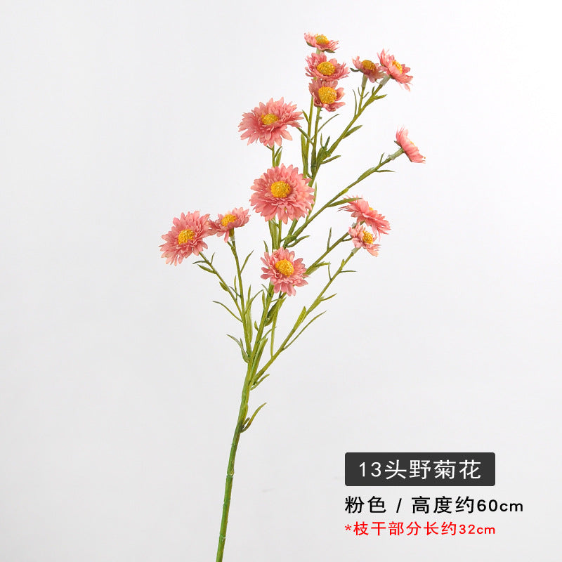 Aster, small daisy, 13heads, yellow core, regular texture, 736206