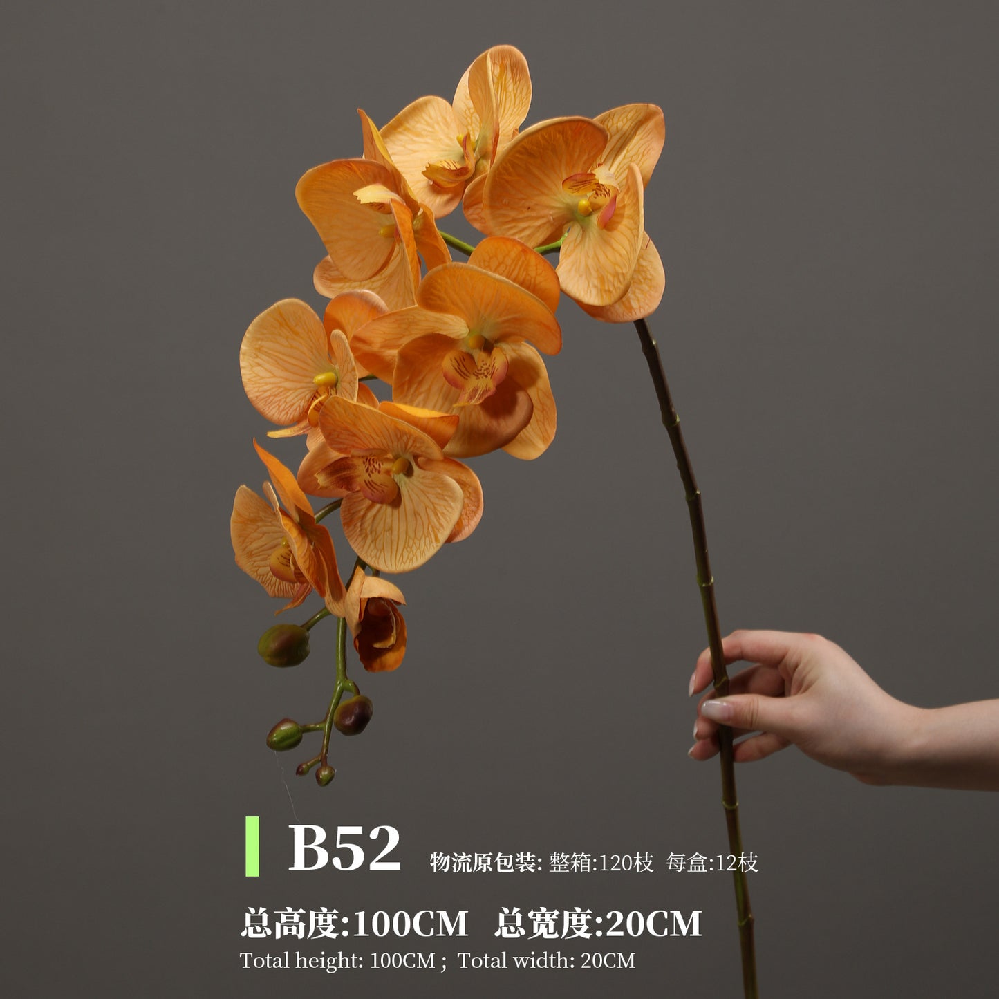 Phalaenopsis, Top quality, real texture artificial flower, 2106300