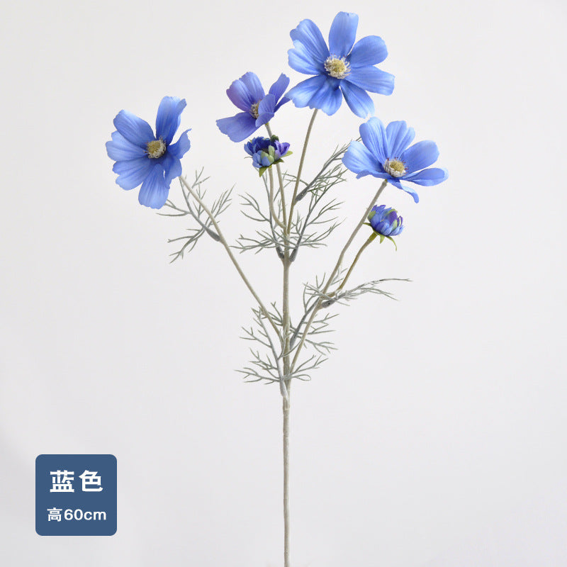 Daisy, garden cosmos, 6 heads, regular texture, 736204