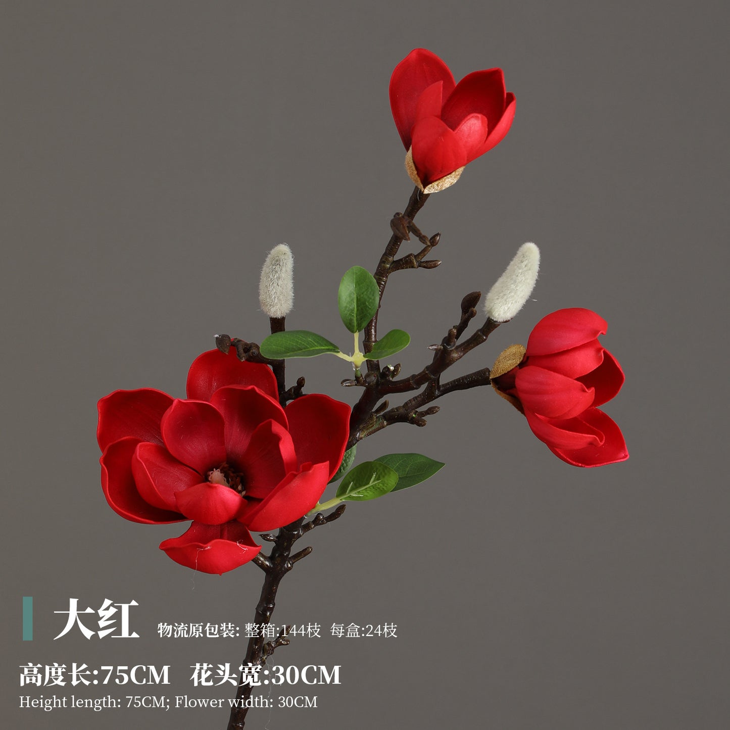 Magnolia, Chinese lily, special texture, 21061601