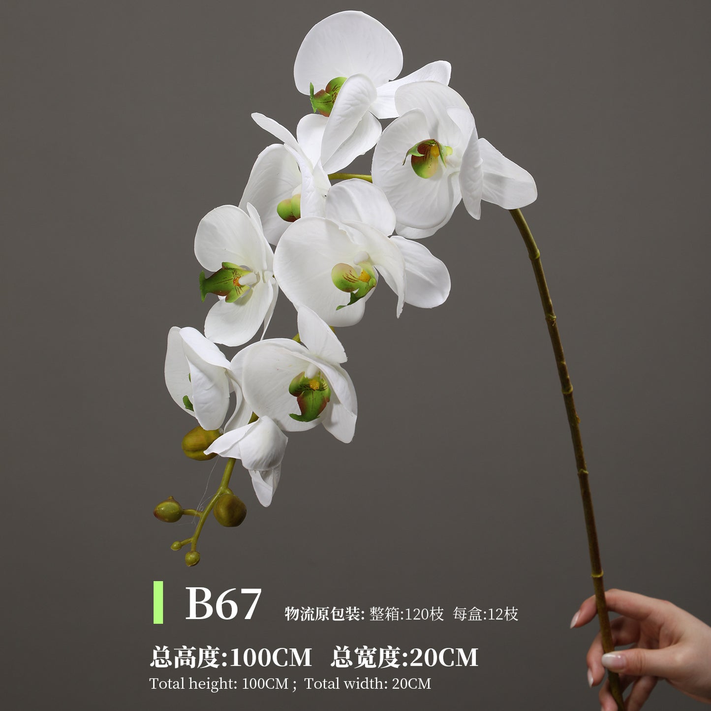 Phalaenopsis, Top quality, real texture artificial flower, 2106300