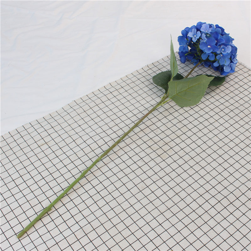 Hydrangeas, all colors, regular texture, 284619