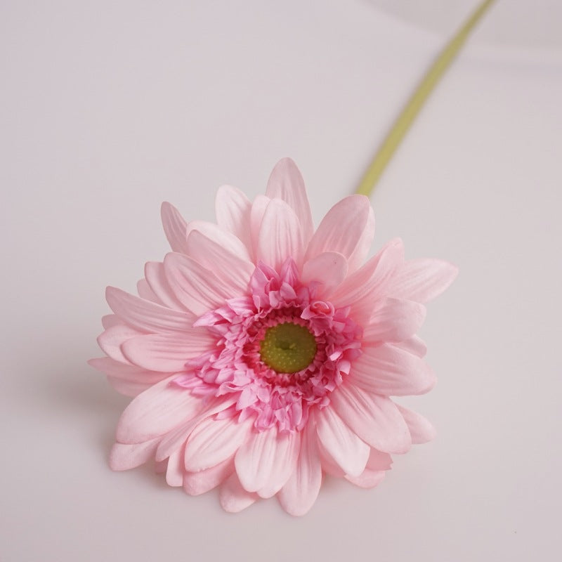 Daisy, large African daisy, real texture artificial flower, 519786
