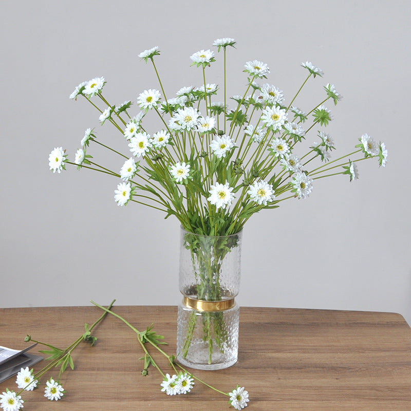 Aster, small daisy, all color, regular texture, 736205