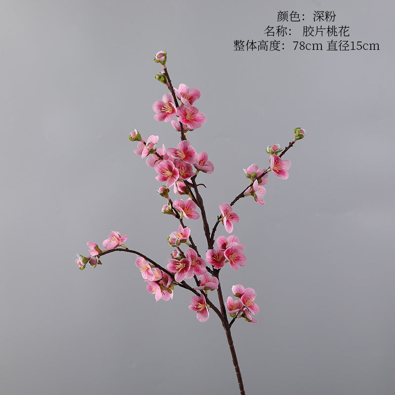 Cherry blossom, with buds, special texture, 23080601