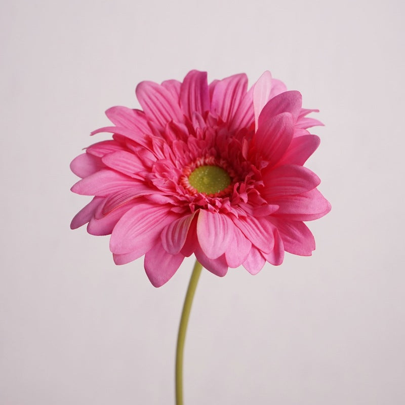 Daisy, large African daisy, real texture artificial flower, 519786