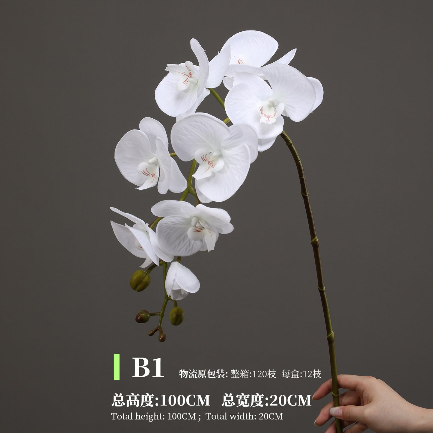 Phalaenopsis, Top quality, real texture artificial flower, 2106300