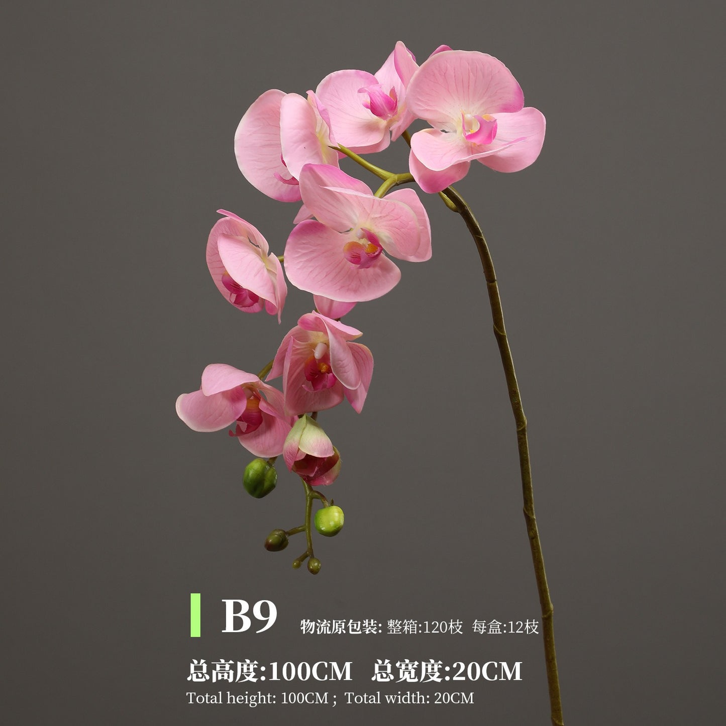 Phalaenopsis, Top quality, real texture artificial flower, 2106300