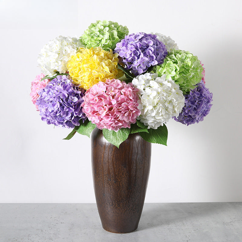 Hydrangea