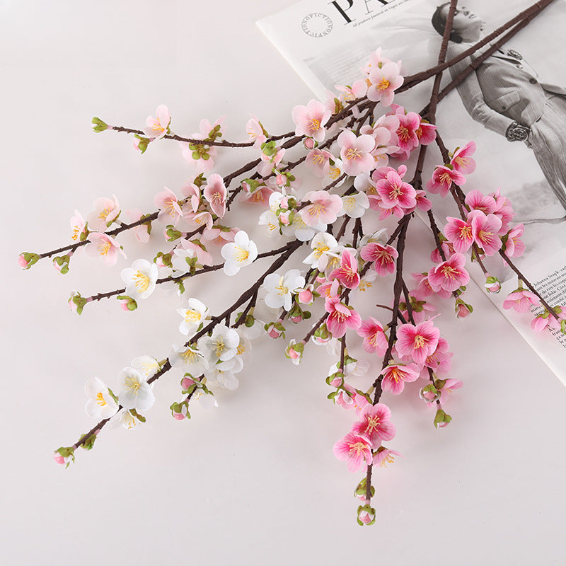 Cherry Blossom