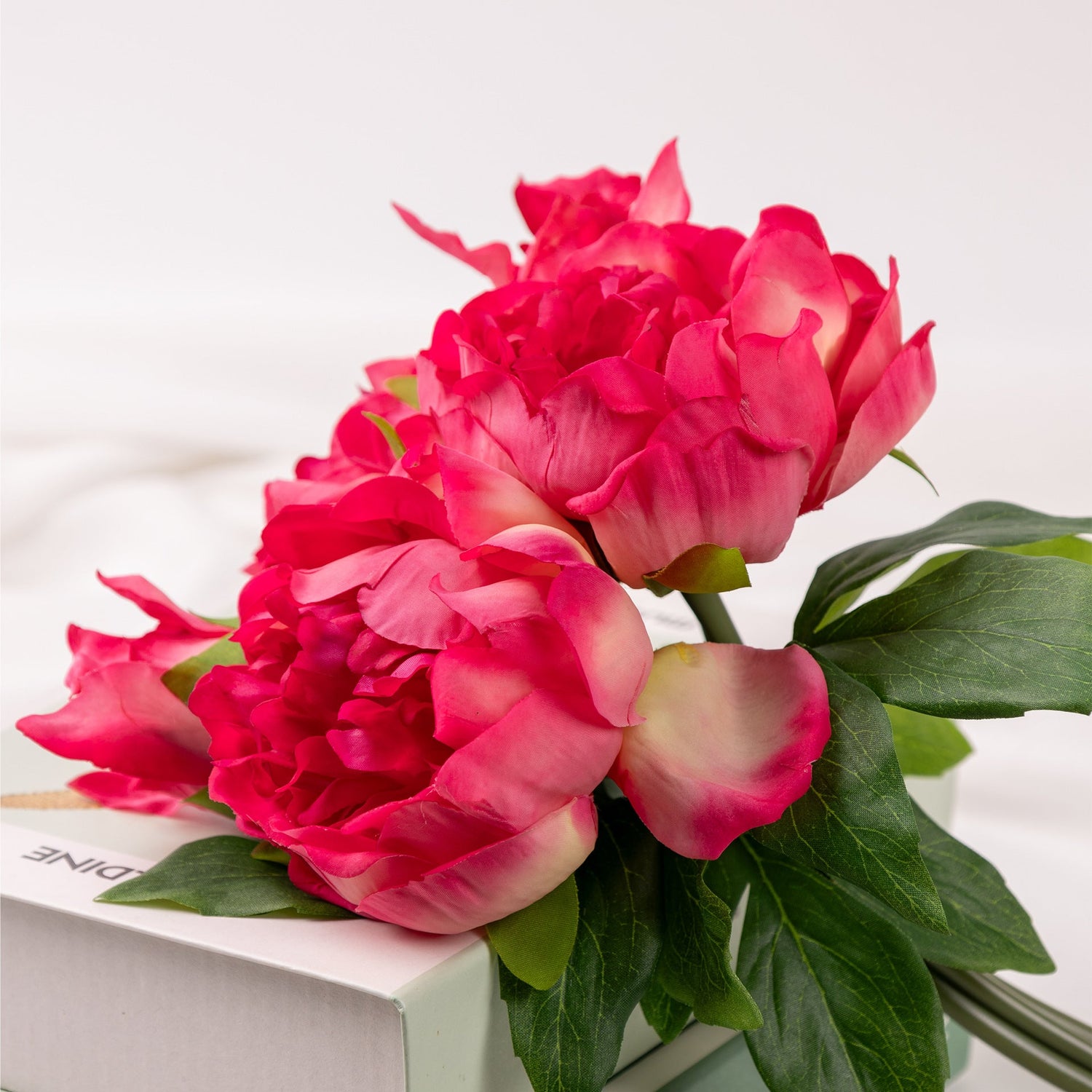 Peony