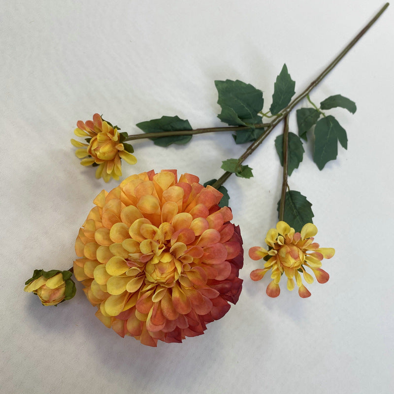 All Regular Texture Flowers
