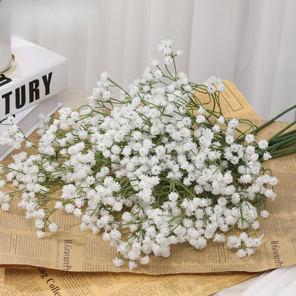 Baby's breath, regular texture, 21043004
