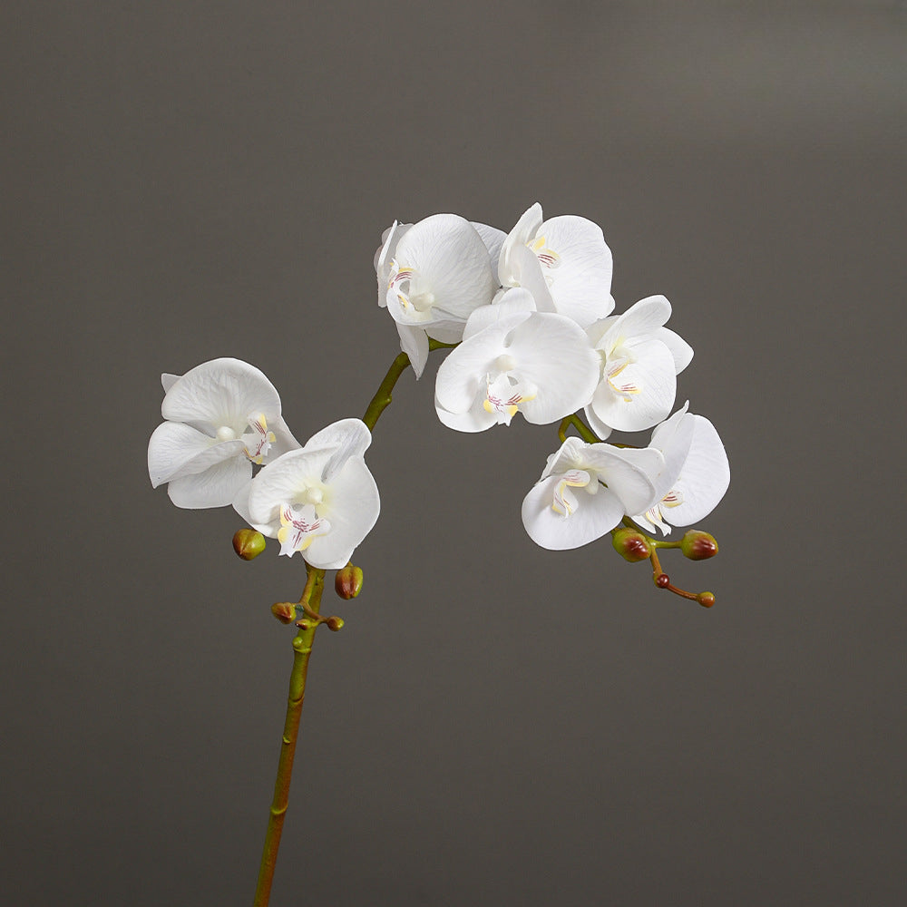 Phalaenopsis, 2 heads, real texture artificial flower, 22070402