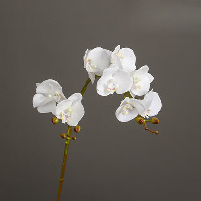 Phalaenopsis, 2 heads, real texture artificial flower, 22070402