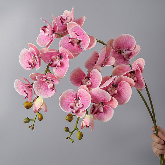 Phalaenopsis, Top quality, real texture artificial flower, 2106300