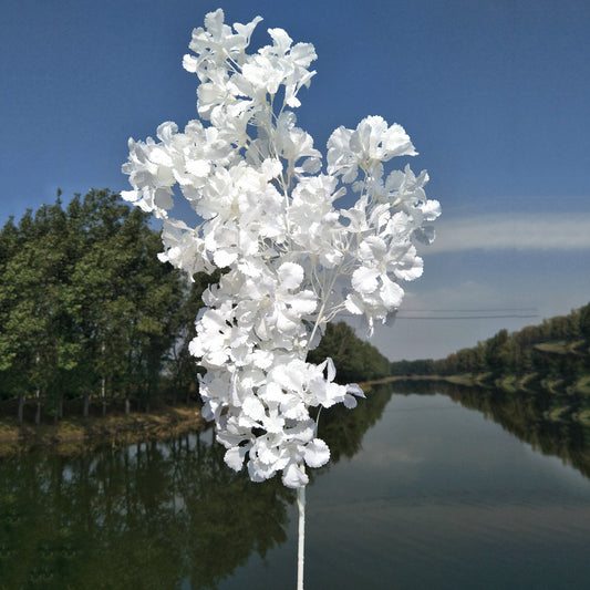 Cherry blossom, white stem snow, regular texture, 3268059