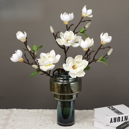 Magnolia, Chinese lily, special texture, 21061601