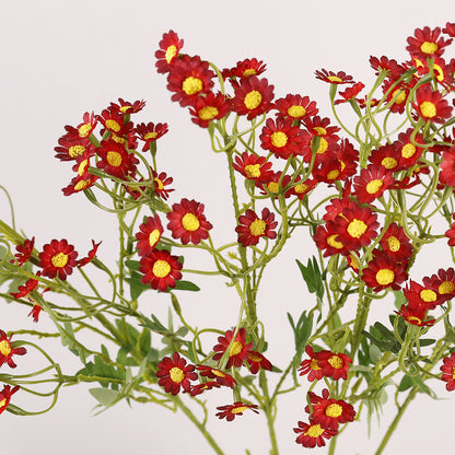 Aster, small daisy, yellow core, regular texture, 56092
