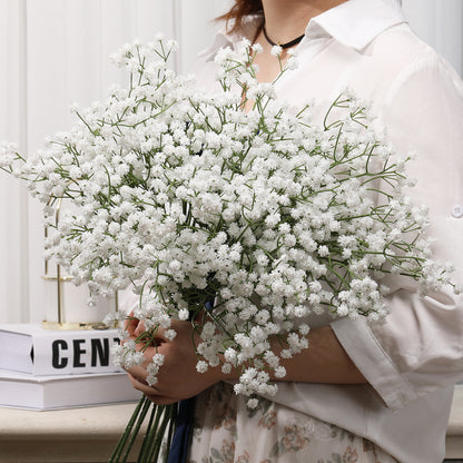 Baby's breath, regular texture, 21043004