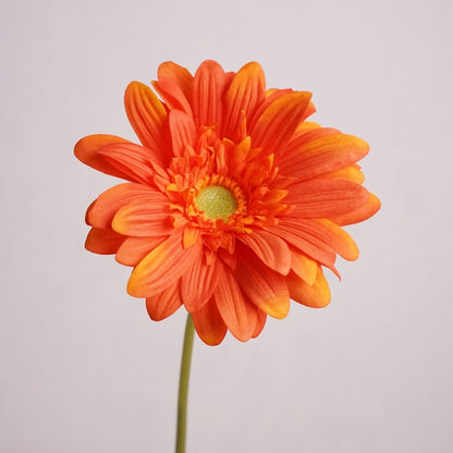 Daisy, large African daisy, real texture artificial flower, 519786