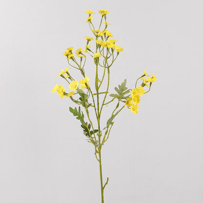 Aster, small daisy, yellow core, regular texture, 56092
