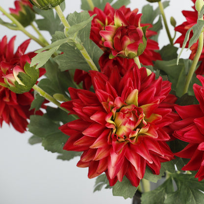 Dahlia, 3 heads, special texture, 55046
