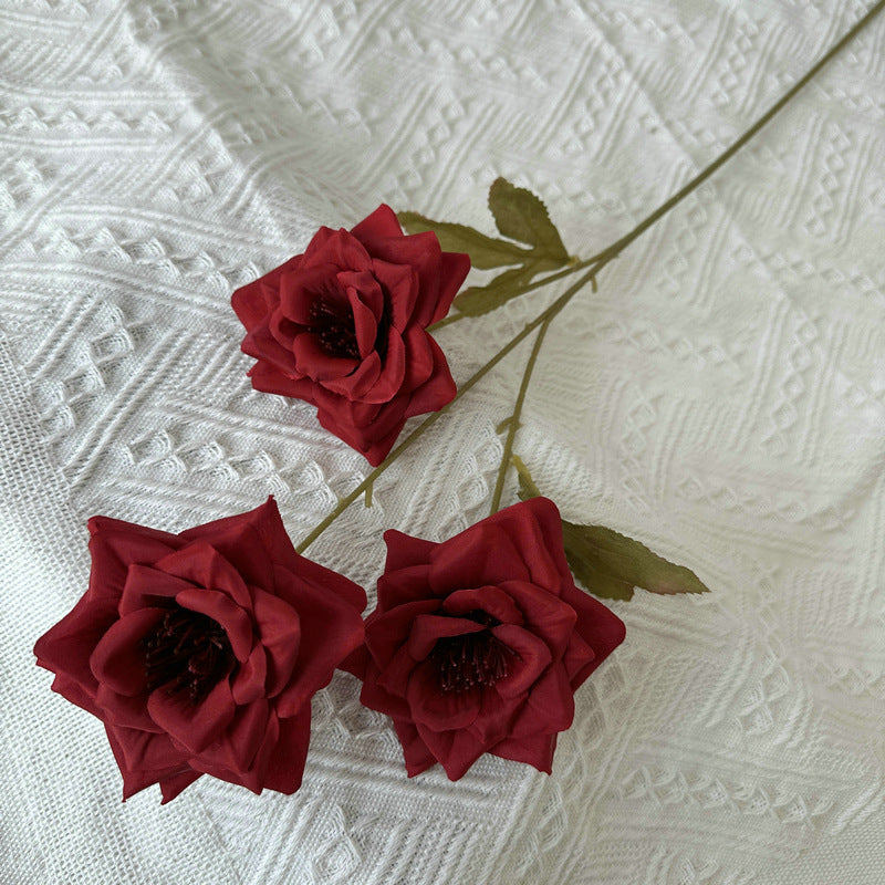 Rose, 3 head, regular texture, 21848713714