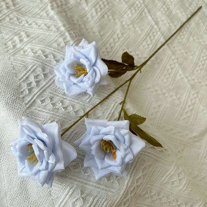 Rose, 3 head, regular texture, 21848713714