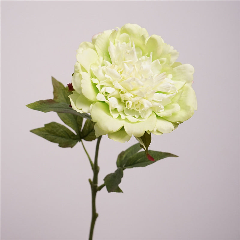 Peony, high quality, real texture artificial flower, 519785