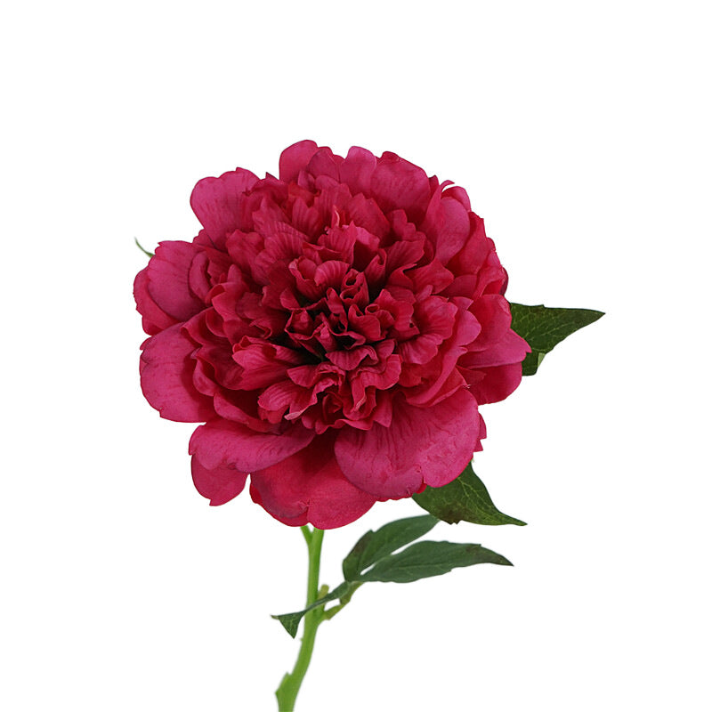 Peony, high quality, real texture artificial flower, 519785