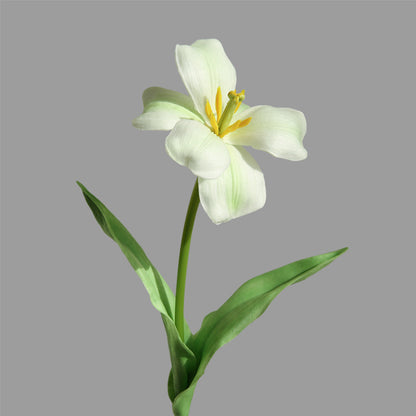 Tulip bloom, real texture artificial flower, 472803