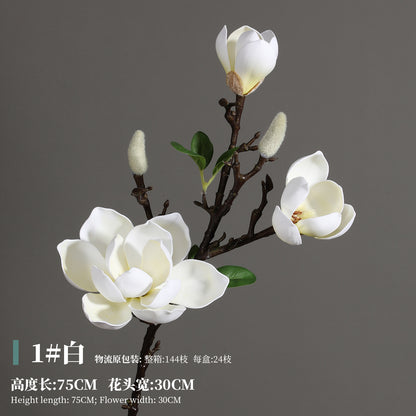 Magnolia, Chinese lily, special texture, 21061601