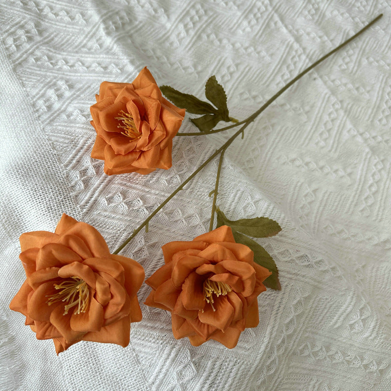 Rose, 3 head, regular texture, 21848713714