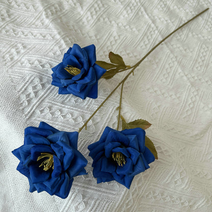 Rose, 3 head, regular texture, 21848713714