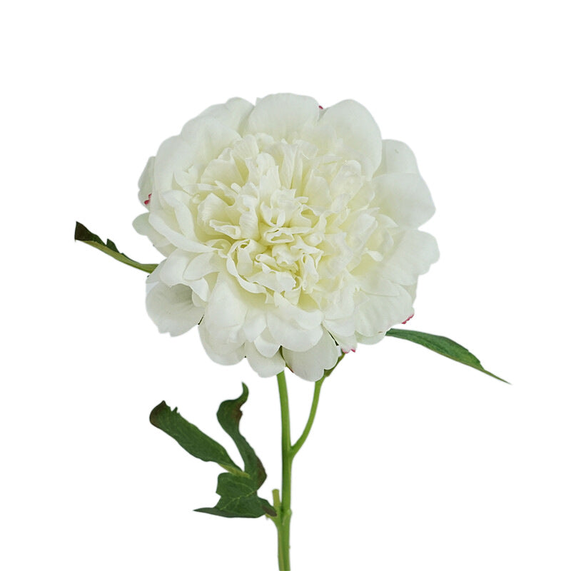 Peony, high quality, real texture artificial flower, 519785