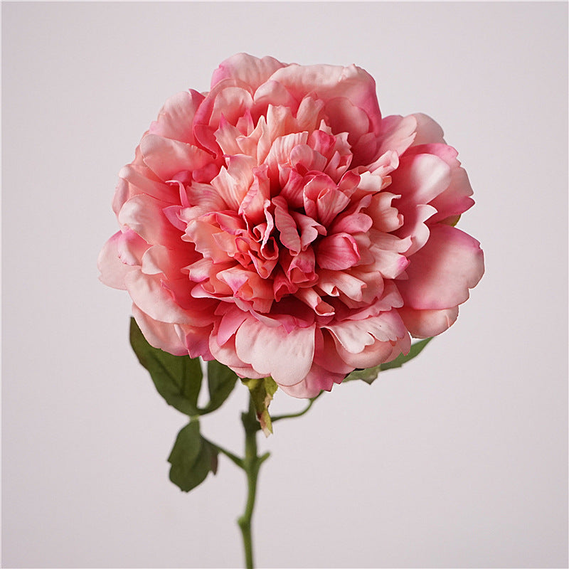 Peony, high quality, real texture artificial flower, 519785