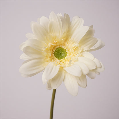 Daisy, large African daisy, real texture artificial flower, 519786