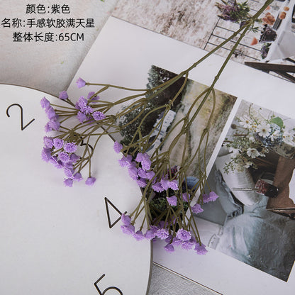 Baby's breath, long, 2 branches, regular texture, 1-484