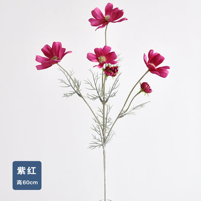 Daisy, garden cosmos, 6 heads, regular texture, 736204