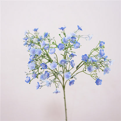 Baby's breath, blossom & seeds, regular texture, 2168