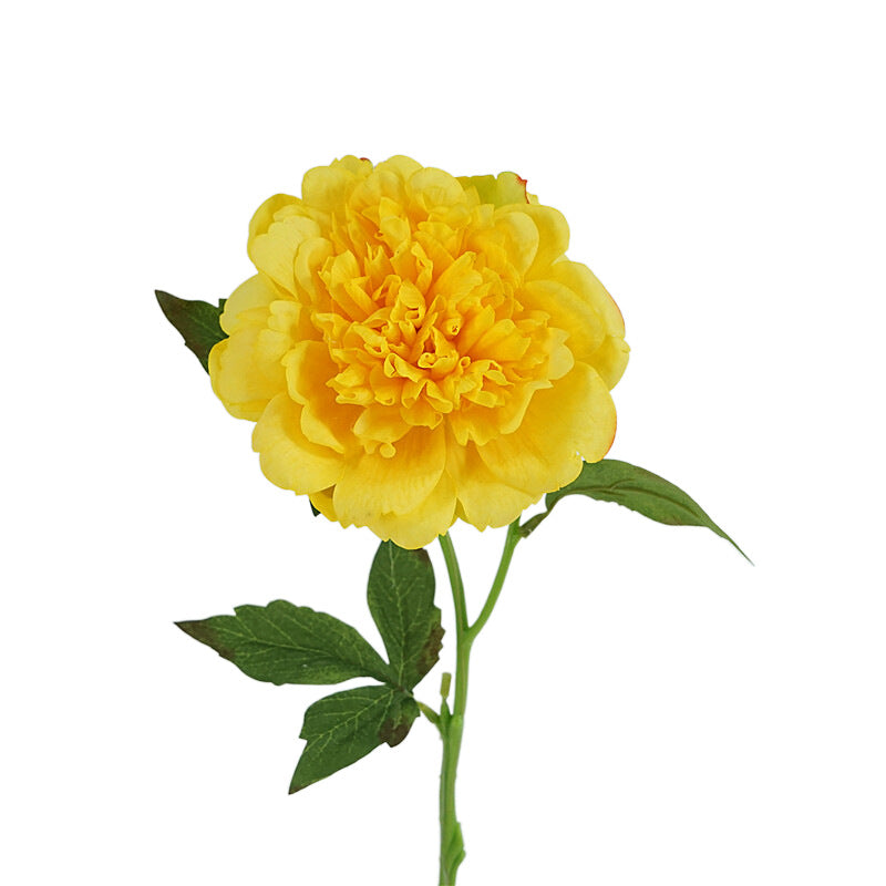 Peony, high quality, real texture artificial flower, 519785
