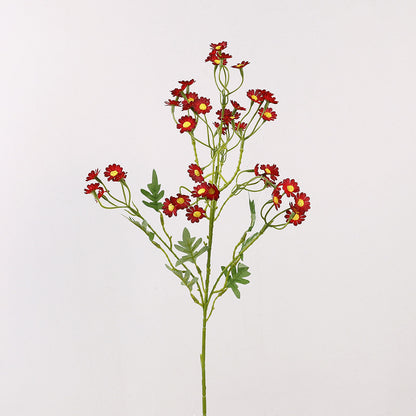 Aster, small daisy, yellow core, regular texture, 56092
