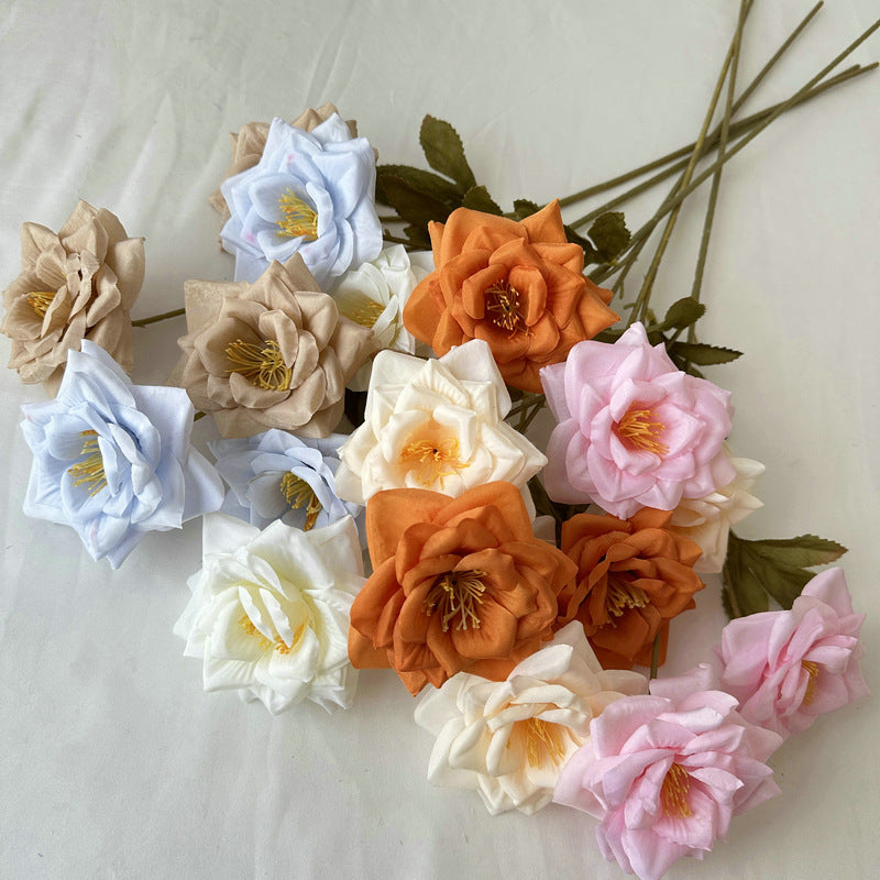 Rose, 3 head, regular texture, 21848713714