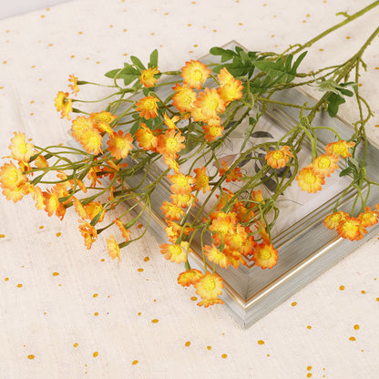 Aster, small daisy, yellow core, regular texture, 56092