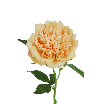 Peony, high quality, real texture artificial flower, 519785