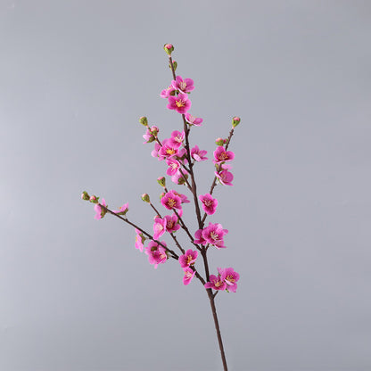 Cherry blossom, with buds, special texture, 23080601