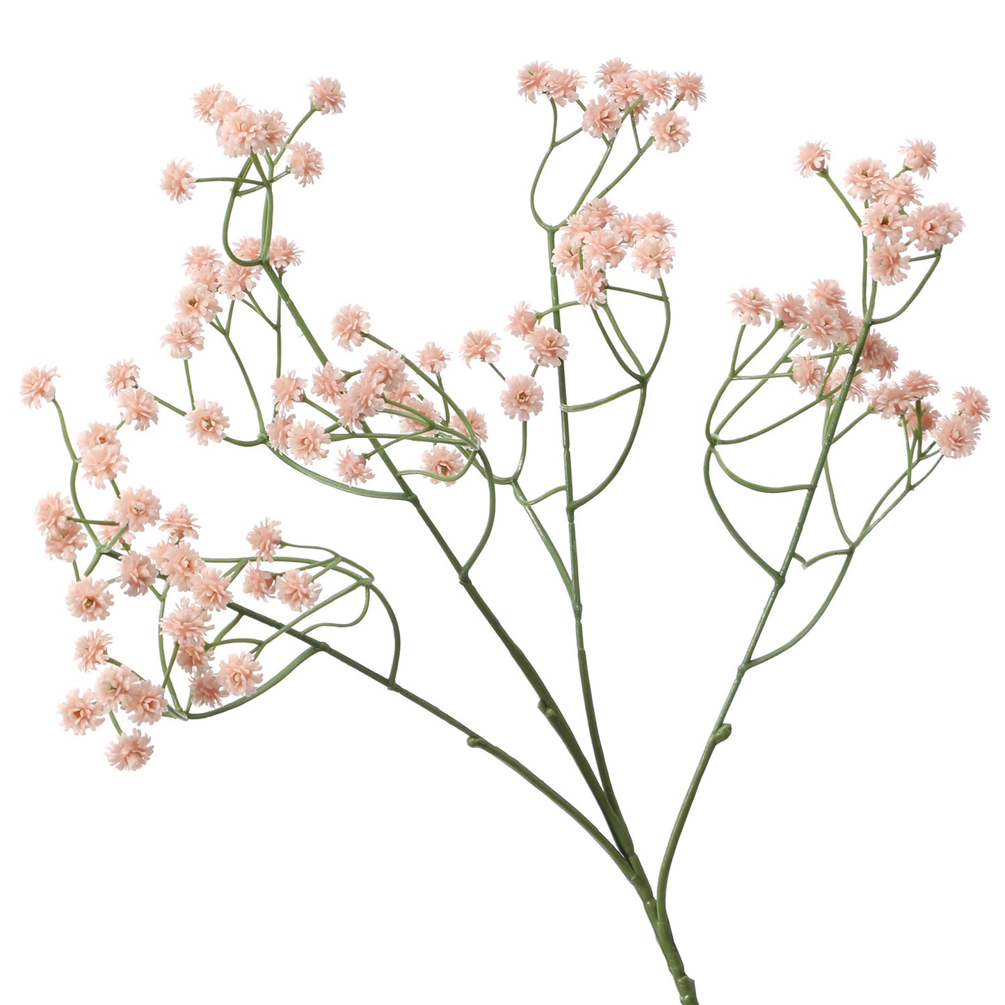 Baby's breath, regular texture, 21043004